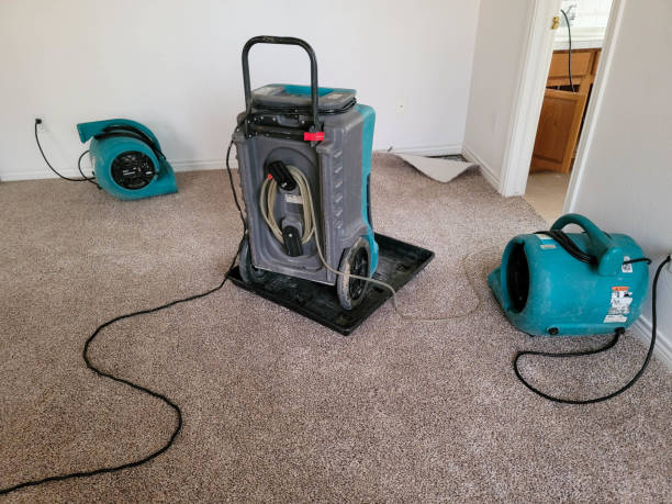 Best 24/7 water damage repair  in Lowell, MA