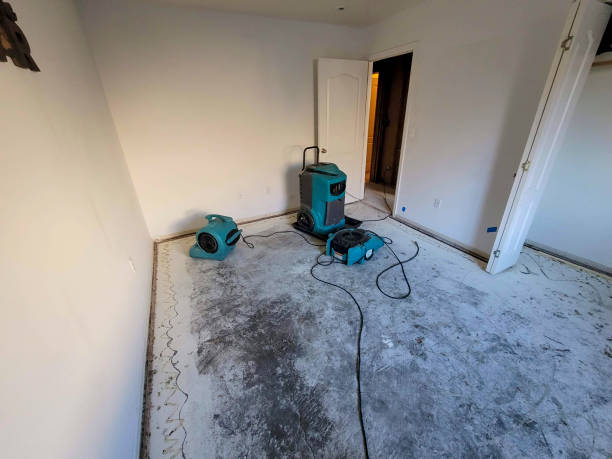 Best Residential water damage restoration  in Lowell, MA