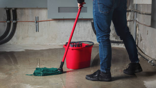 Best Commercial water damage restoration  in Lowell, MA