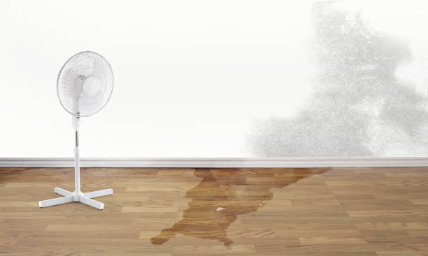 Best Basement water damage restoration  in Lowell, MA