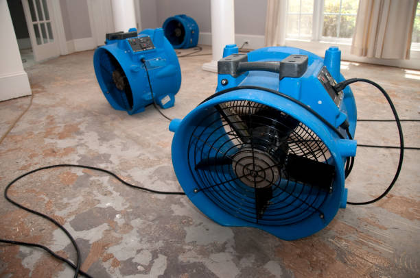Best Water damage restoration near me  in Lowell, MA