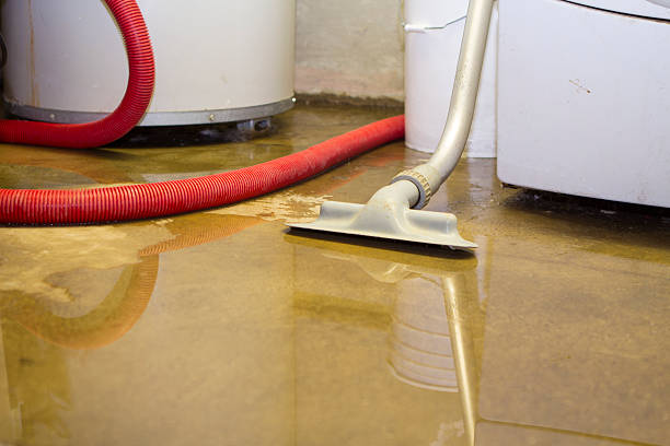 Best Water damage contractors near me  in Lowell, MA