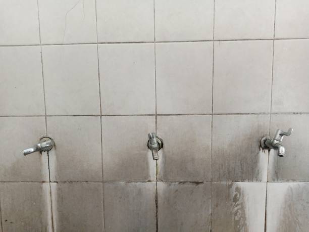 Best Sewage cleanup and water damage restoration  in Lowell, MA