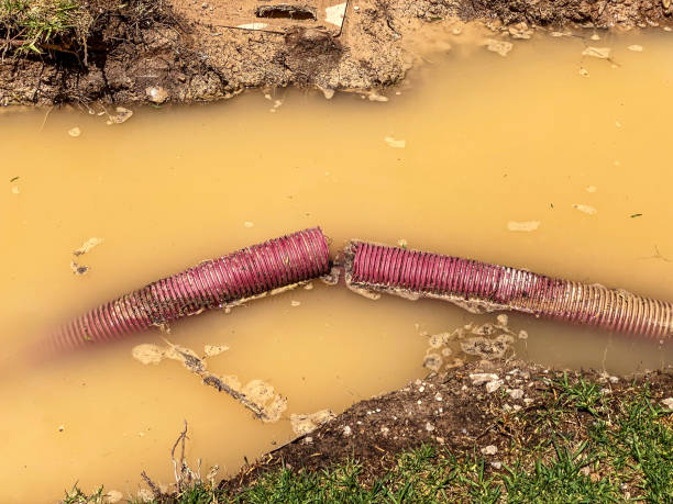 Sewage cleanup and water damage restoration in Lowell, MA