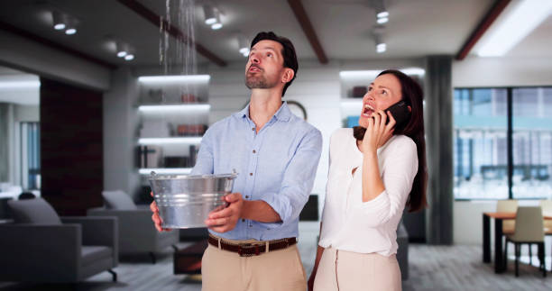 Best Flood damage cleanup  in Lowell, MA